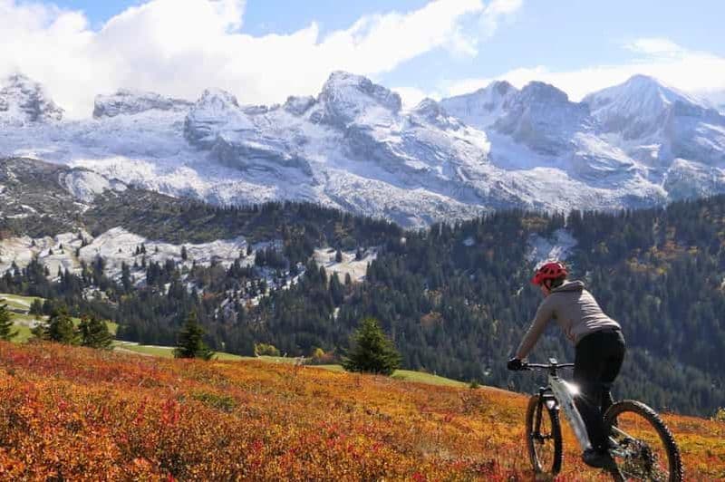 Billet Instagram Safari “Big Five” des Annecy Mountains en E-Bike/VTT électrique