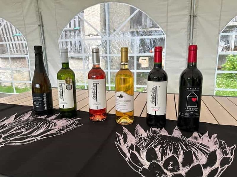 Billet Bergerac : dégustation de vins au Château Lestevenie