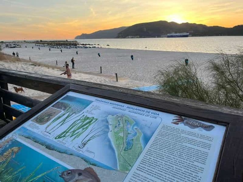 Billet Depuis Lisbonne : Tróia et la cave-musée avec dégustation de vins Bacalhoa.