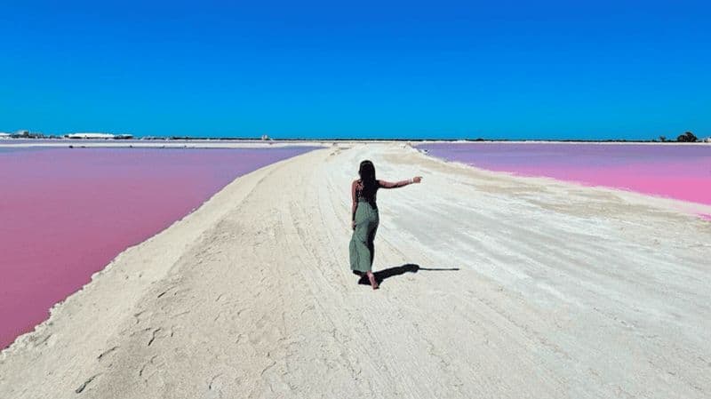 Billet Riviera Maya : Excursion d'une journée à Rio Lagartos et Las Coloradas avec déjeuner