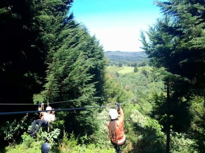 Billet Depuis Nairobi : Safari aventure en zipline