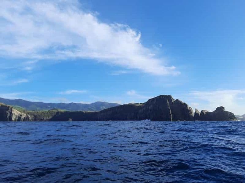 Billet Ribeira Grande : Ocean Safari |Sta. Eiria Bay