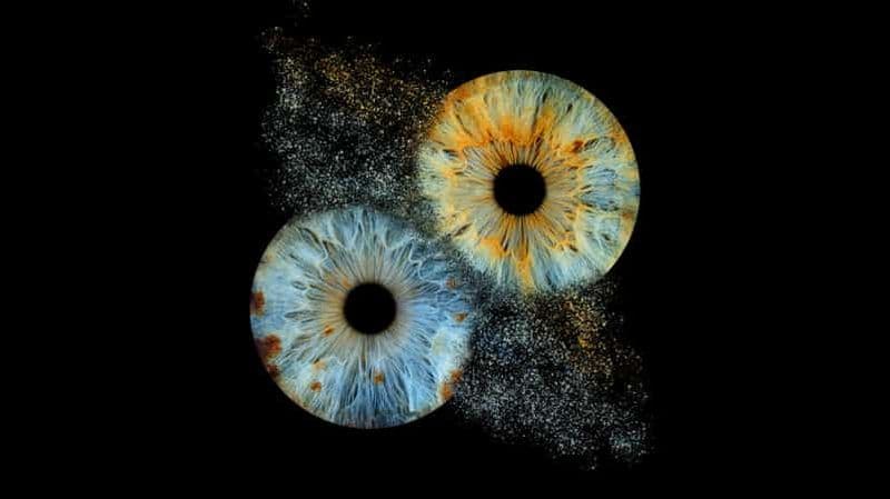 Billet Deauville: Révélez la beauté de votre iris avec Iris Galerie