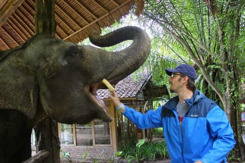 Billet Bali : Taman Safari et nourrissage des éléphants avec transfert depuis l'hôtel