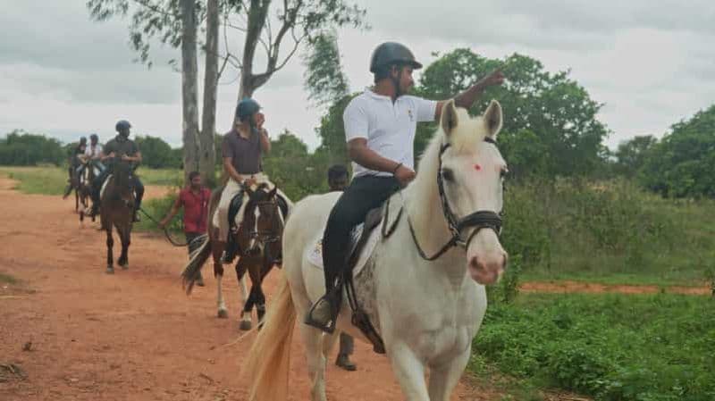 Billet Bangalore : Tombez amoureux de plus de 100 chevaux et de plus de 20 poneys.