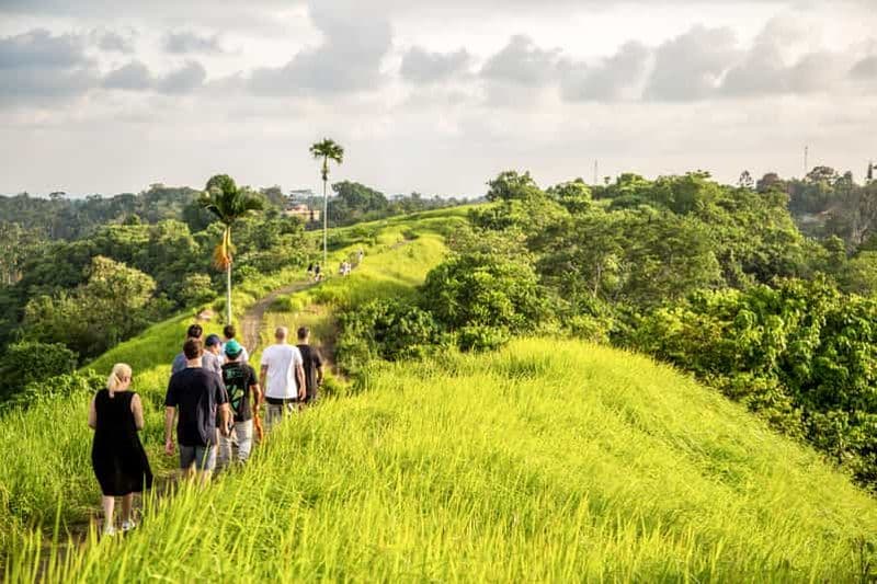 Billet Ubud : visite à pied de 3 heures avec déjeuner