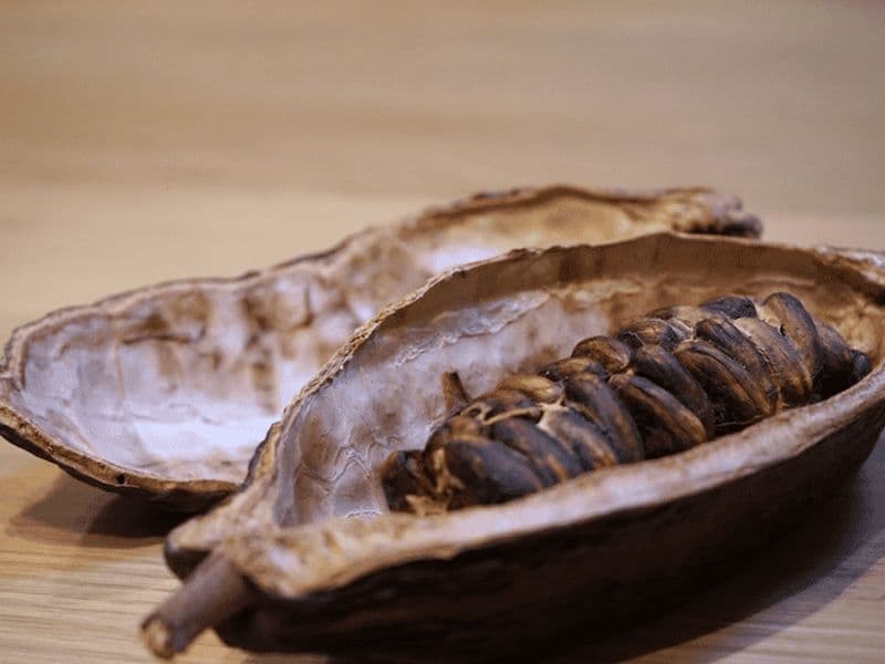 Billet Dégustation de chocolat fin à Turin