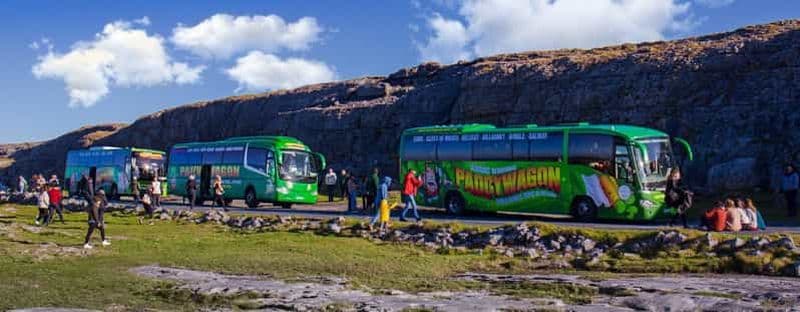 Billet Excursion de luxe à partir de Waterford (Dunmore East)