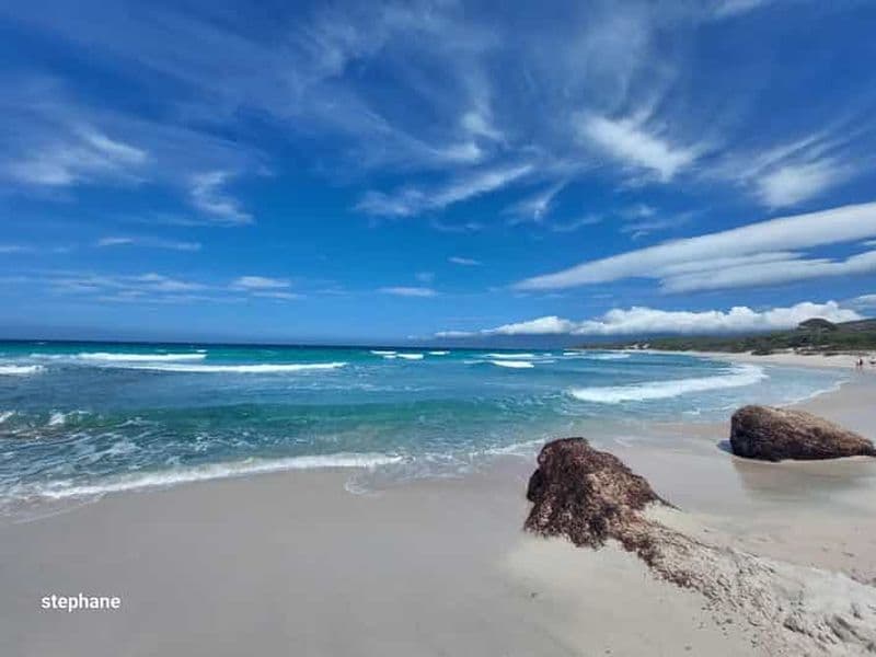 Billet Au départ de Calvi : excursion d'une journée en 4x4 à la montagne et à la plage de Saleccia des Agriates