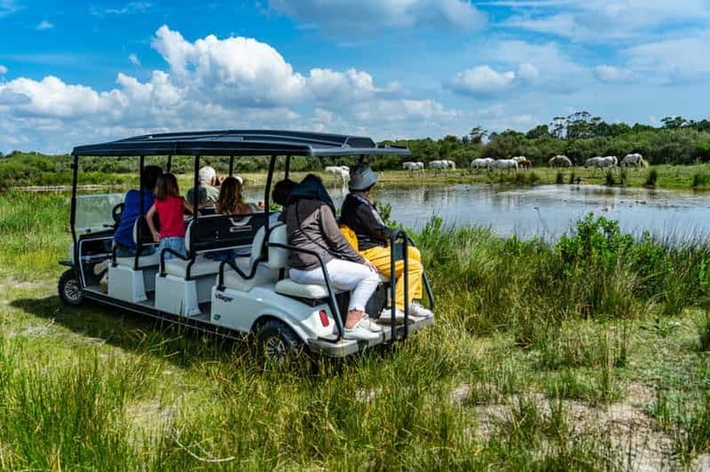 Billet Camargue : safari électrique avec guide dans une réserve privée