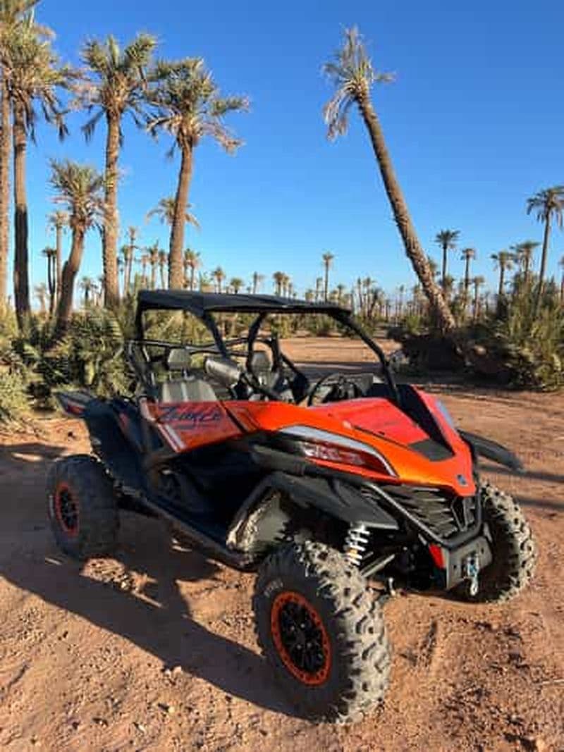 Billet Marrakech : Excursion dans la palmeraie et le désert de jbilat en buggy 1000cc