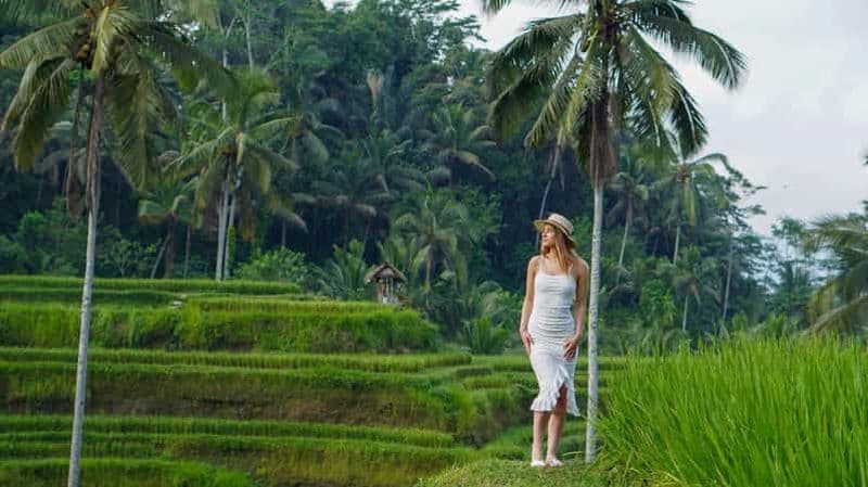 Billet Ubud : Cascades, rizières et balançoire avec photographie