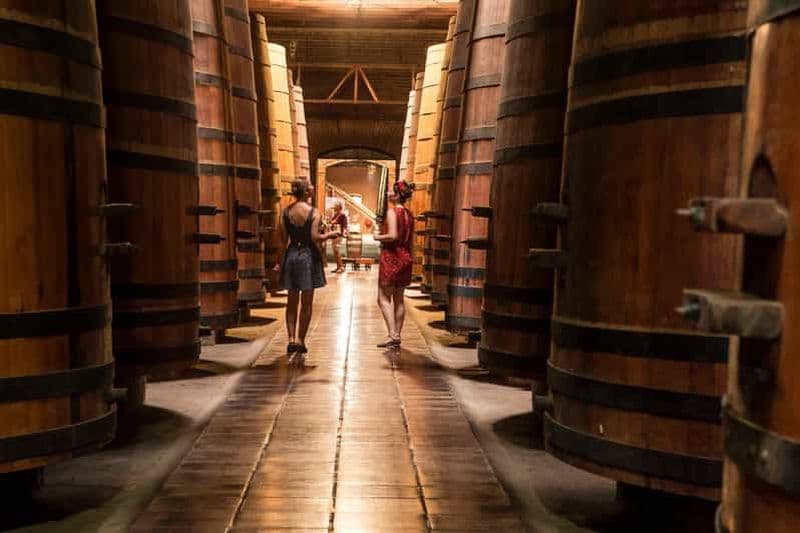 Billet Santiago : Visite officielle du vignoble Cousiño Macul avec dégustation