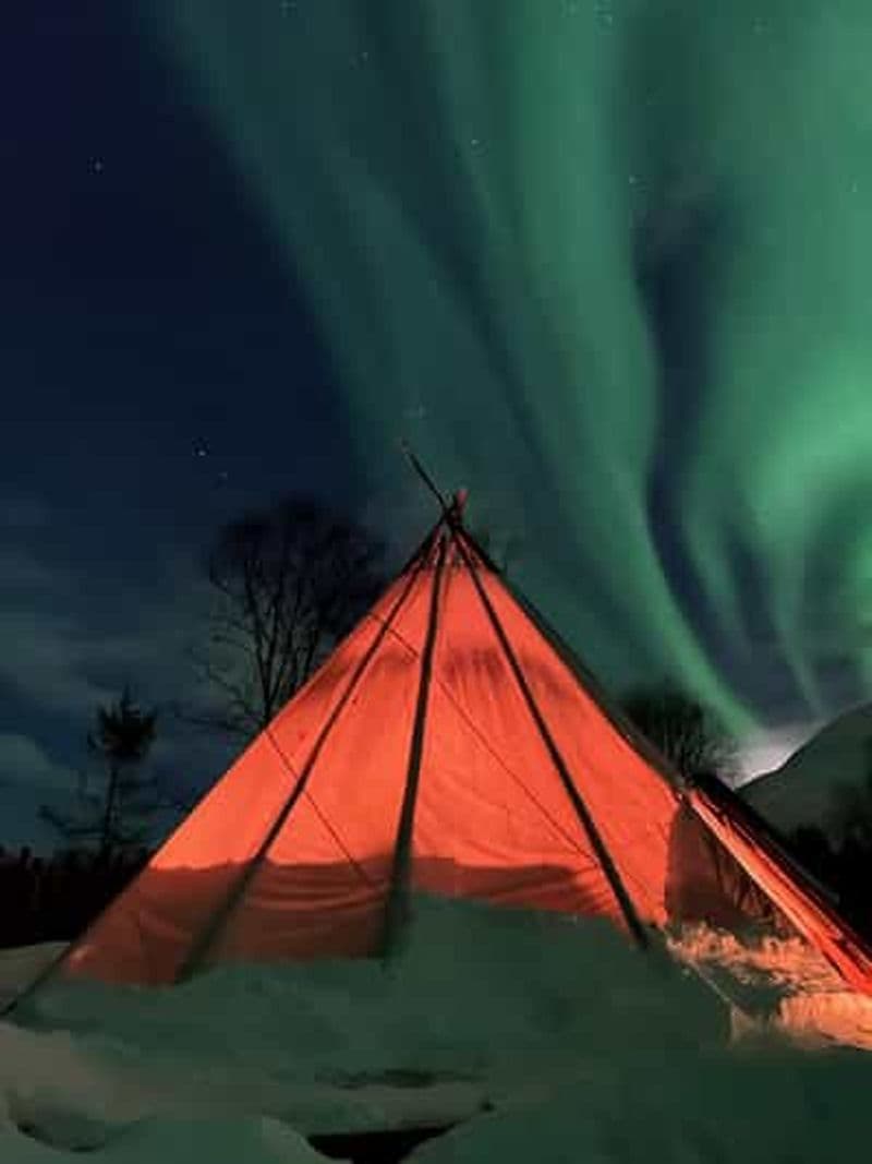 Billet Tromsø : aurores boréales, rennes, campement sami, musée