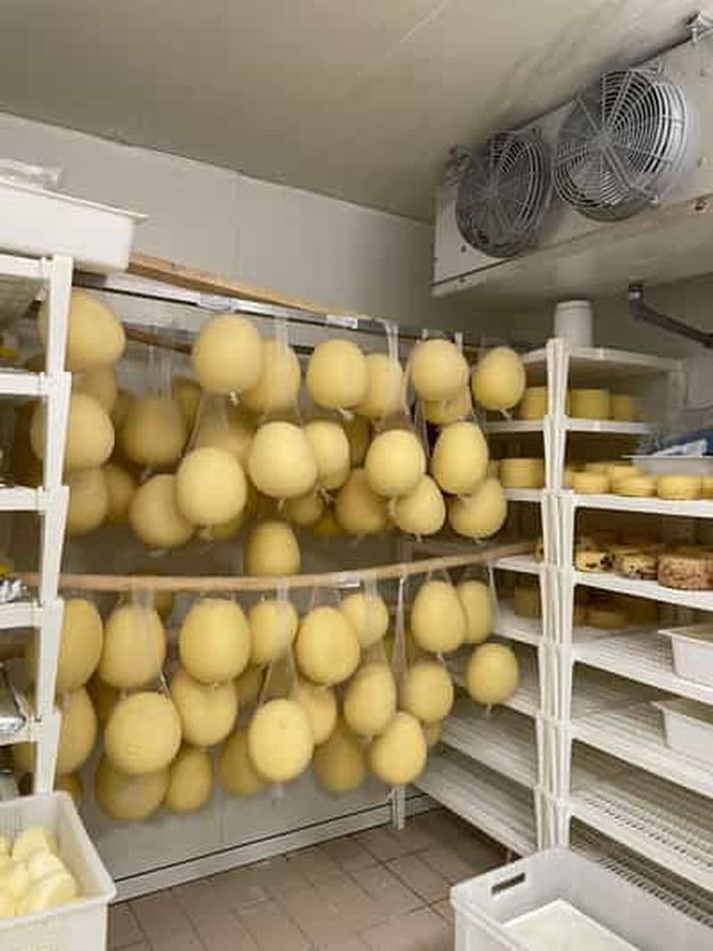 Billet Pise : Expérience Privée Exclusive de Fabrication et de Dégustation de Fromages