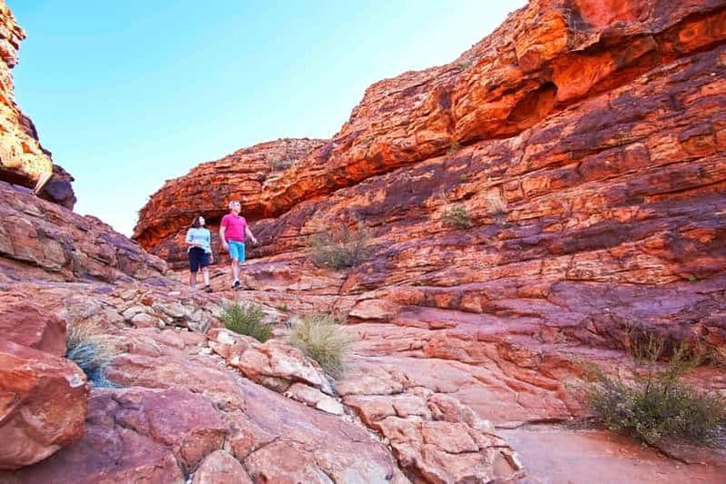 Billet Kings Canyon : Visite d'une jounée au départ d'Ayers Rock Resort