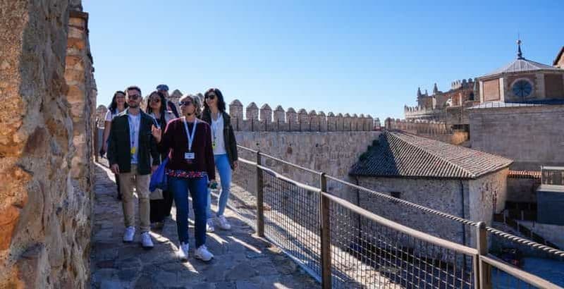 Billet Depuis Madrid : Visite d'Avila et de Ségovie avec billets pour monuments