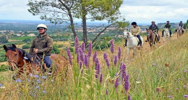 Billet Randonnée à cheval dans la vallée, près de Lisbonne