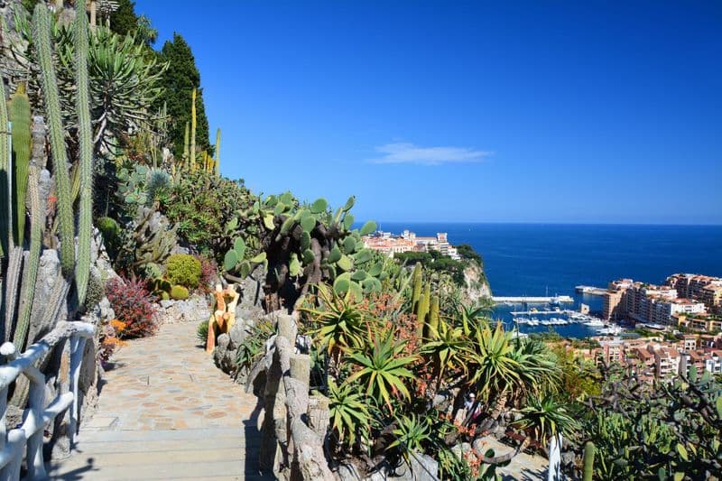 Jardin Exotique de Monaco