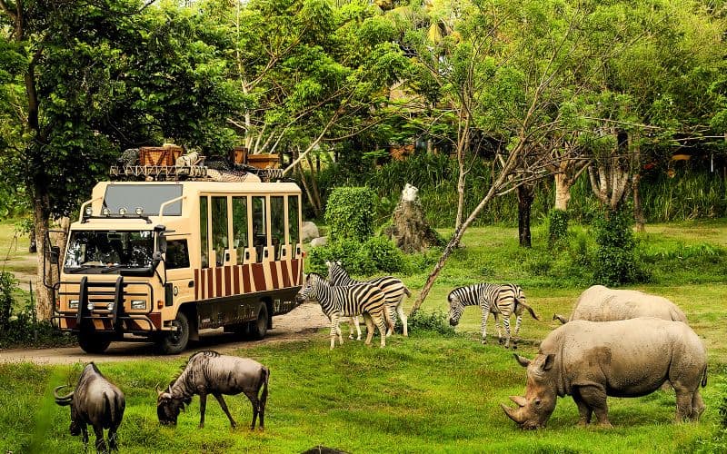 Billet Billets pour le safari à Bali