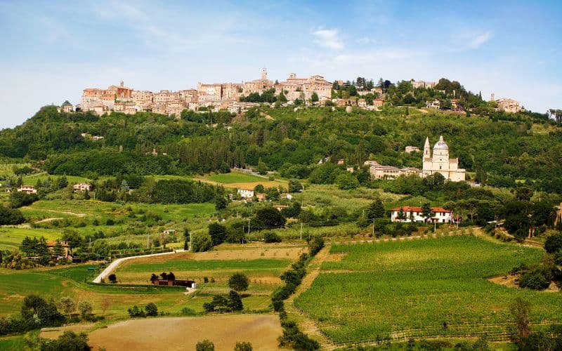 Billet Chianti Classico, Montalcino, Montepulciano : Excursion d'une journée en minibus depuis Florence
