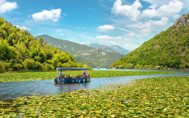 Billet Depuis Virpazar : Tour en bateau du lac Skadar et Forteresse de Grmožur avec boissons