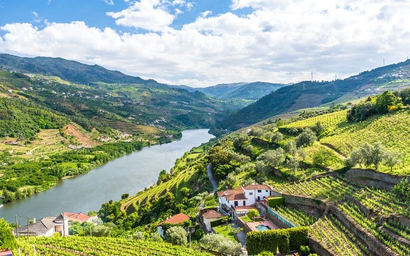 Billet Visite guidée classique de la vallée du Douro avec croisière d'une heure sur le Pinhão, déjeuner traditionnel et dégustations de vins
