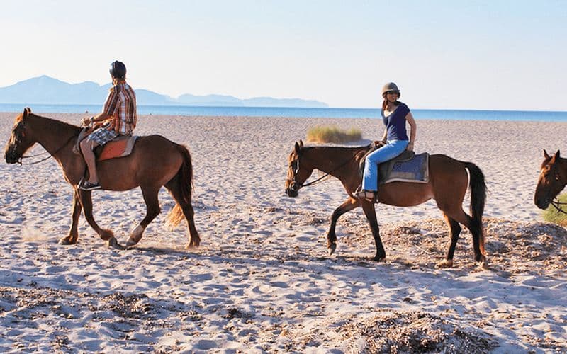Billet Équitation à Majorque : Balades à cheval sur la plage à Majorque