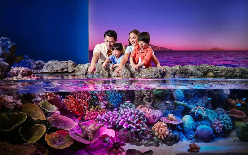 Billet Billets SEA LIFE Bangkok + Madame Tussauds Bangkok