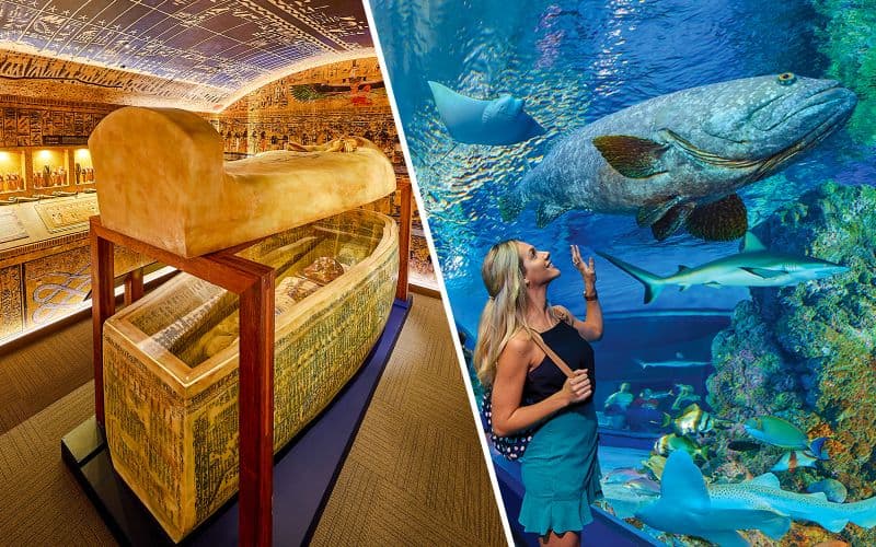 Billet Combo : Tombe des Pharaons + Billets pour l'Aquarium de Cairns