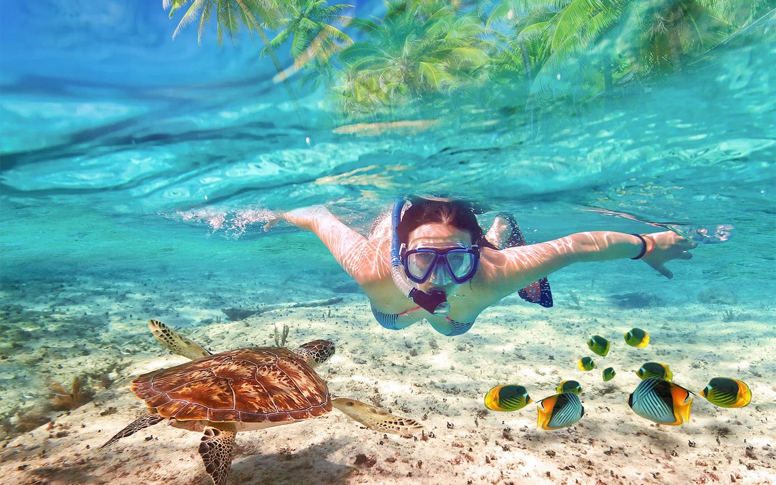 Billet Private Bali Snorkeling Blue Lagoon & Tanjung Jepun