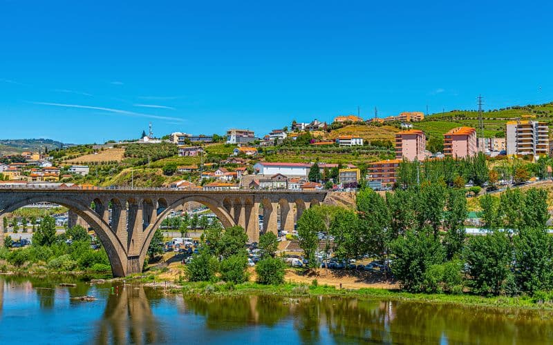 Billet Visite guidée de la vallée historique du Douro avec croisière d'une heure sur le Pinhão, déjeuner traditionnel et dégustations de vins