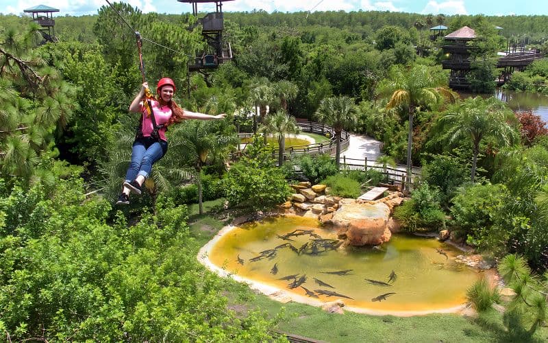 Billet Billets pour Gatorland avec accès à la tyrolienne Screamin' Gator