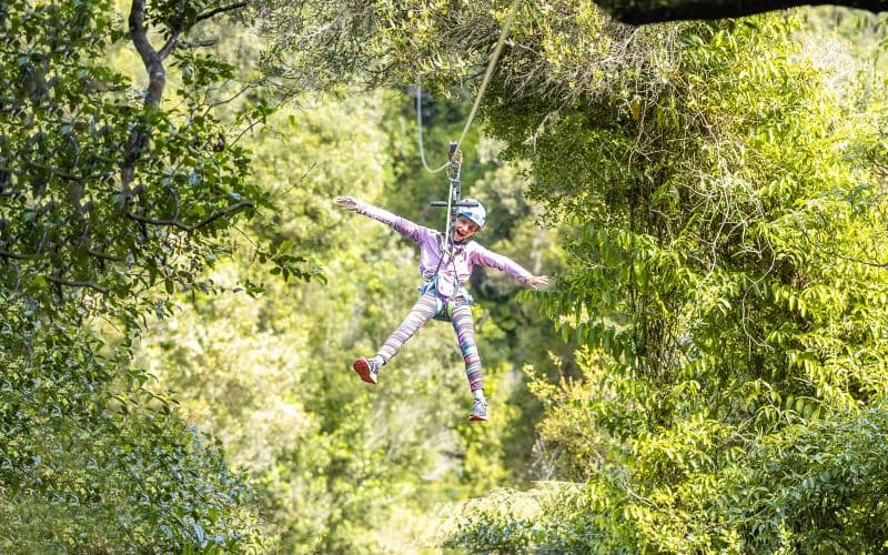 Billet Votre expérience de zipline aux chutes d'Okere