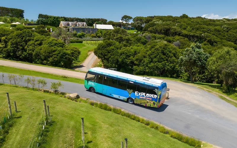 Billet Western Explorer : visite en bus à arrêts multiples de l'île de Waiheke avec transferts en ferry en option