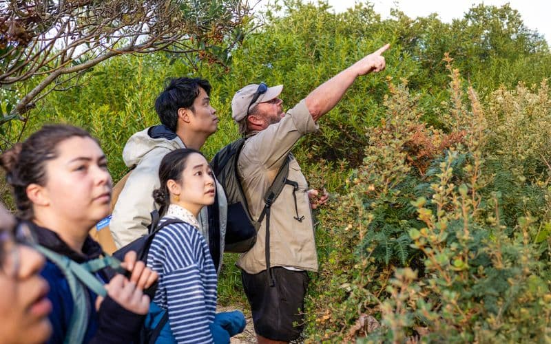 Billet Au départ de Hobart : Excursion guidée d'une journée sur l'île de Bruny avec repas gastronomique