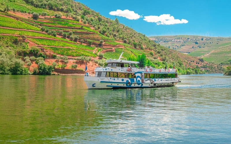 Billet Croisière fluviale d'une journée complète dans la vallée du Douro avec repas et navettes aller-retour