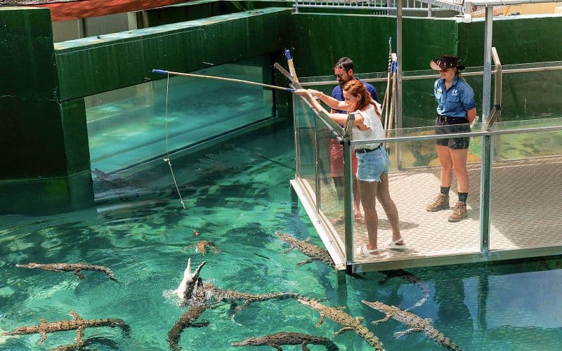 Billet Billets pour Crocosaurus Cove avec visite VIP