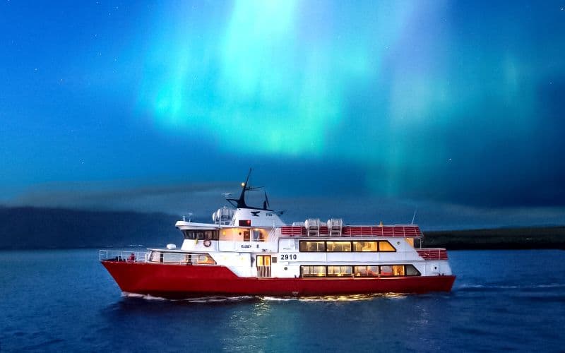 Billet Reykjavik : Croisière touristique aux aurores boréales