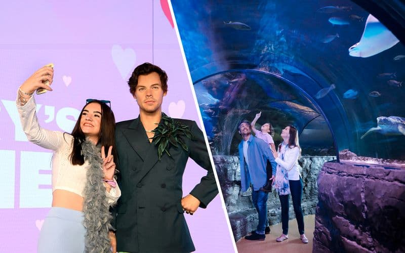 Billet Combo (Jusqu'à 44 % de réduction) : Billets pour Madame Tussauds + SEA LIFE