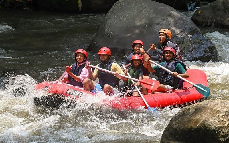 Billet Ubud Ayung River White Water Rafting (Rafting en eaux vives)