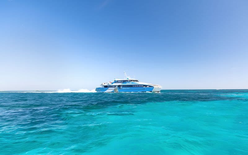 Billet [Soldes du Black Friday] Au départ de Fremantle : ferry aller-retour pour Rottnest Island