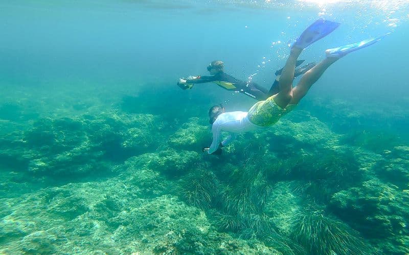 Billet Au départ de Nice : Visite en Scooter des mers et Plongée avec tuba au Cap d'Ail