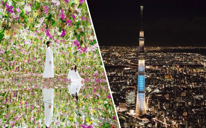 Billet Combo : teamLab Planets Tokyo + Billets pour le pont d'observation de Tokyo