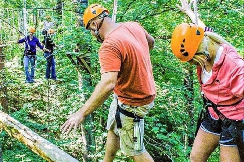 Billet Billets pour Zipline Forest avec transfert depuis Nashville