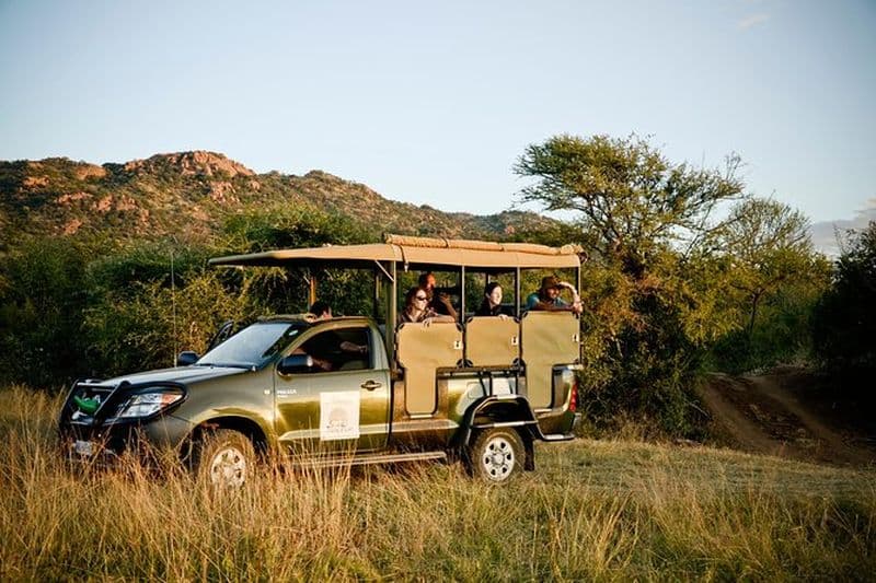 Billet Safari dans la Réserve Naturelle de Pilanesberg au départ de Johannesburg