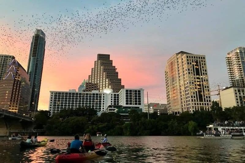 Billet Balade en kayak pour observer les chauves-souris à Austin