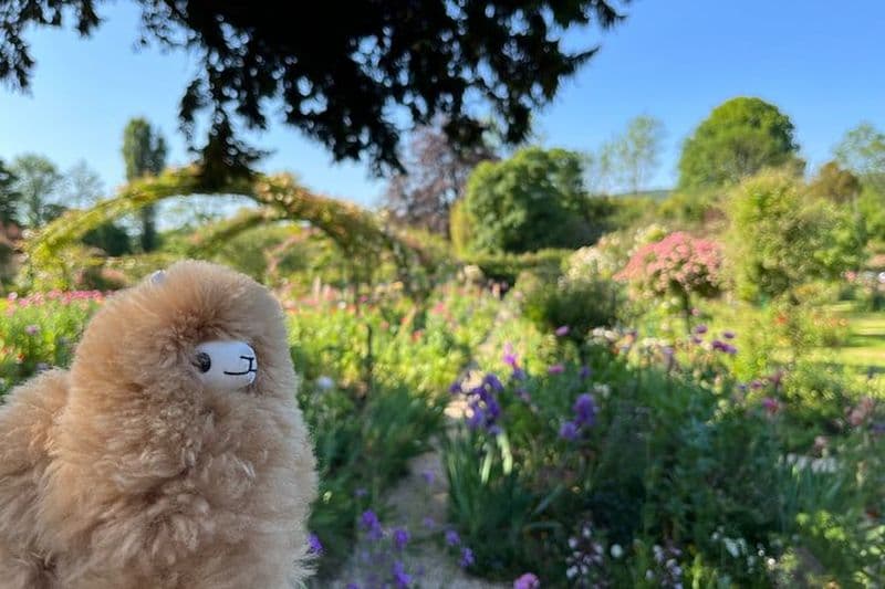 Billet Excursion privée à Giverny et Versailles depuis Paris