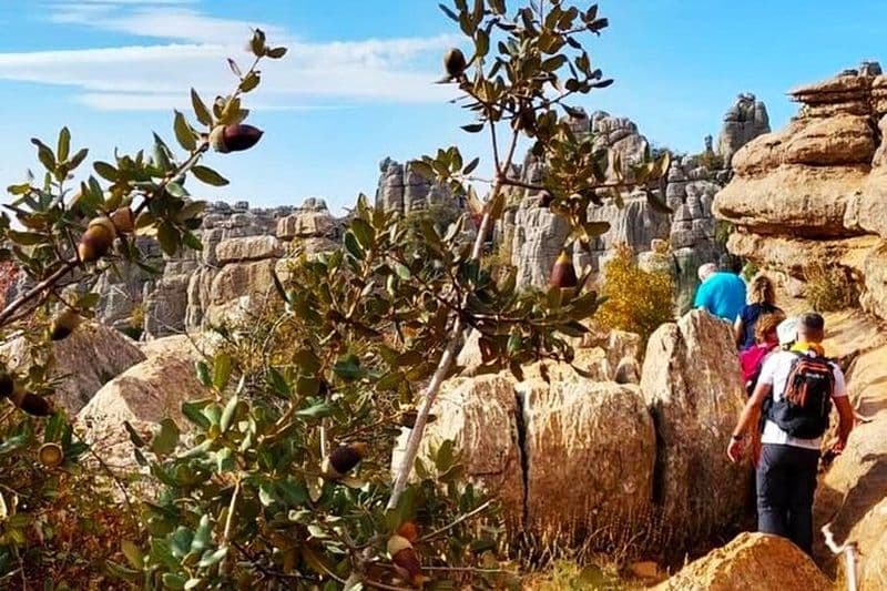 Billet Excursion à Antequera et au Torcal depuis Malaga