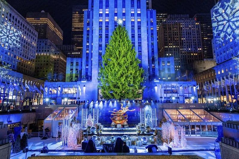 Billet Balade en calèche pour voir les lumières de Noël à New York